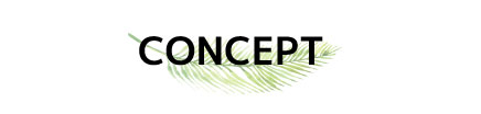 Concept