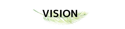 vision
